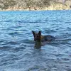 Suzan Lopez - @suzan.lopez8 - TikTok