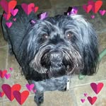 Suzan Woods - @jcliveshere - Instagram
