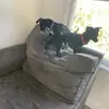Suzanna Walker - @suzanna.walker - TikTok