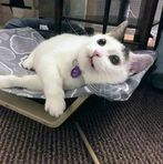 Suzannah Rose - Facebook