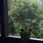 Suzannah Rose - @suzanne_845 - Instagram