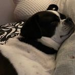 Suzanne Ackerman - Facebook