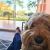 Suzanne Addison556 - @suzanneaddison556 - TikTok