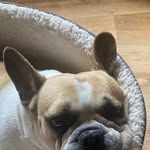 Suzanne Bryant-Aldred - @suziba01 - Instagram