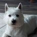Suzanne Aldridge - Facebook