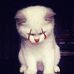 Susanne Almon - Facebook