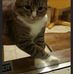 Suzanne Arney - Facebook