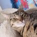 Suzanne Ash - Facebook