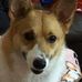 Susie Que - Facebook