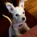 Suzanne Atchison - Facebook