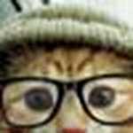 Suzanne Audet - @suzanneaudet - Instagram