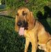 Suzanne Baggett - Facebook