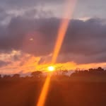 Suzanne Bagnall - @bagnall.suzanne - Instagram