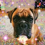 Suzanne Bagnall - @suzanne.bagnall.3 - Instagram