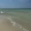 bailey bug’s spammy - @bailey_suzanne - TikTok