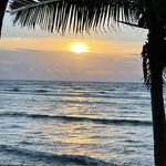 Suzanne Bailey - @suzannebailey339 - Instagram