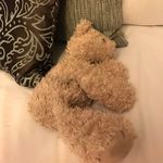Suzanne Bailey - @suzannebailey2008 - Instagram