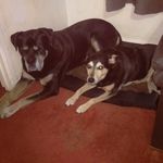 Suzanne Bailey - @suzy_louby - Instagram