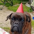Susanna Balducci - Facebook