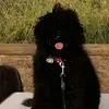 susannabalducci20 - @susannabalducci20 - TikTok