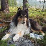Suzanne Bancroft - @suzanne.bancroft - Instagram