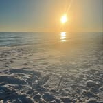 Suzanne Barham Milstead - @smileinstead - Instagram