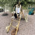 Suzanne Bartlett - @bartlett.suzanne - Instagram