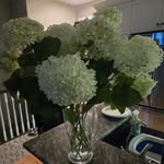 Suzanne Bartlett - @suzb19 - Instagram