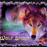 Omega the Spirit Wolf - @suzanne.bates.140 - Instagram