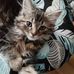Suzanne Bates - Facebook