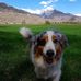 Suzanne Bates - Facebook
