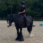 @suzanne_.bayard - Instagram