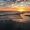 Golden sunsets - @suzanne.beachlife - TikTok