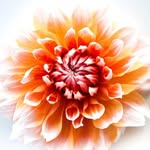 Suzanne Beadle - @suzanne.beadle.376 - Instagram