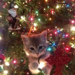 Suzanne Beaudoin - @25suzanne1946 - Instagram