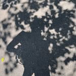 Suzanne Beaudoin - @sfbeaudoin - Instagram
