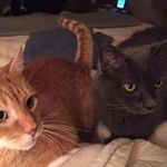 Suzanne Beck - @smokeygirl8 - Instagram