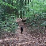 Suzanne Beck - @suzannebeck6 - Instagram