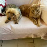 Suzanne Behan - @soozsnooz - Instagram
