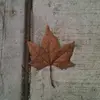 suzannebernstein75 - @suzannebernstein75 - TikTok