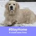 Suzy Bernstein - Facebook