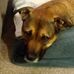 Suzanne Best - Facebook