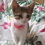Suzanne Best - @suzanne.best - Instagram
