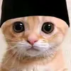 Suzanne Bishop - @suzanne.bishop35 - TikTok