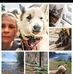 Suzanne Björk - Facebook
