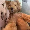 Suzanne Blaise Serafin - @suzanne.blaise.se - TikTok