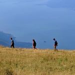 Suzanne Boland - @blahblahblahdogs - Instagram