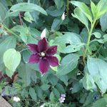 suzanne - @suzannebooker15 - Instagram