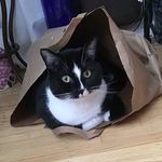 Suzanne Booker - @szybooker - Instagram