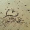 suzy33 - @suzannebooker4 - TikTok